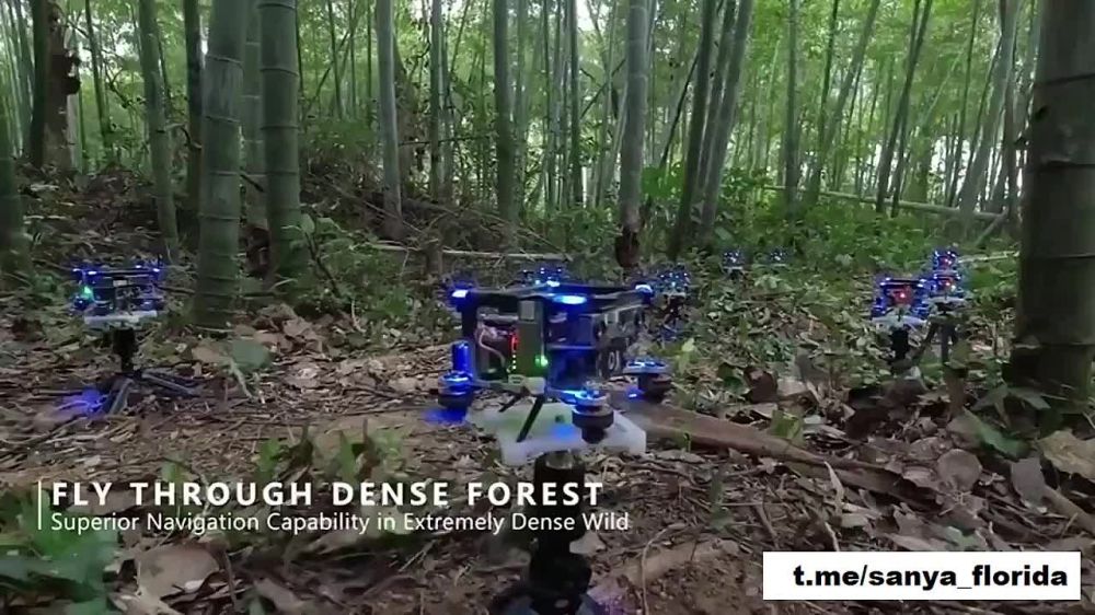 ������� ������� ����� �������� ����� �� ����� ������