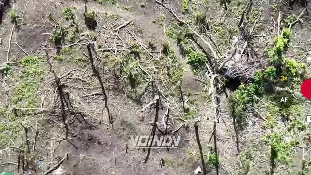 ������� �������� ������ ������ ���������� ������-���������������� �� �� � ���� ���������� ���