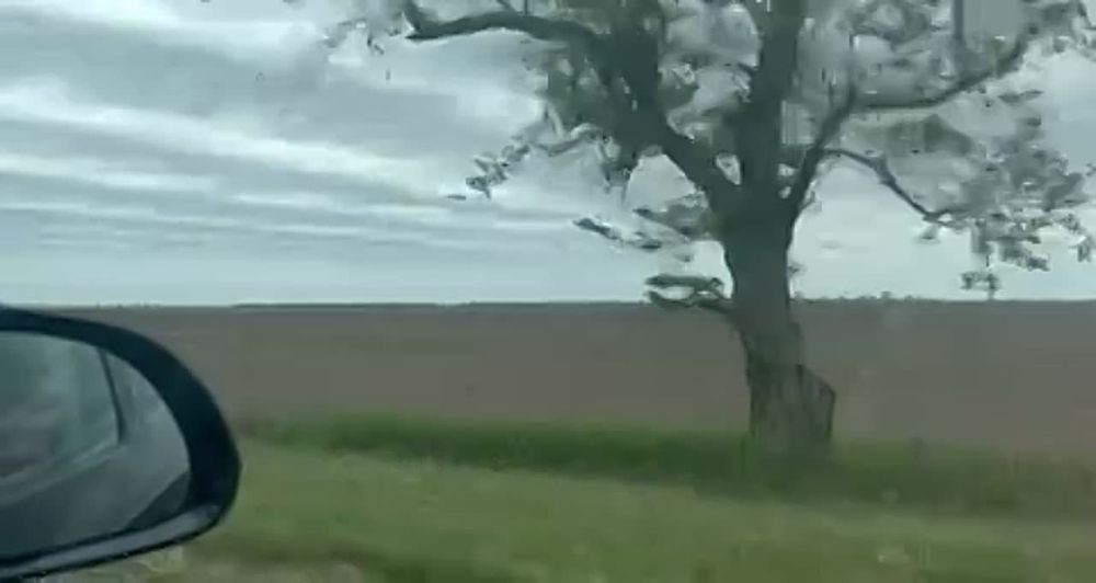 ���������� ���������� �����