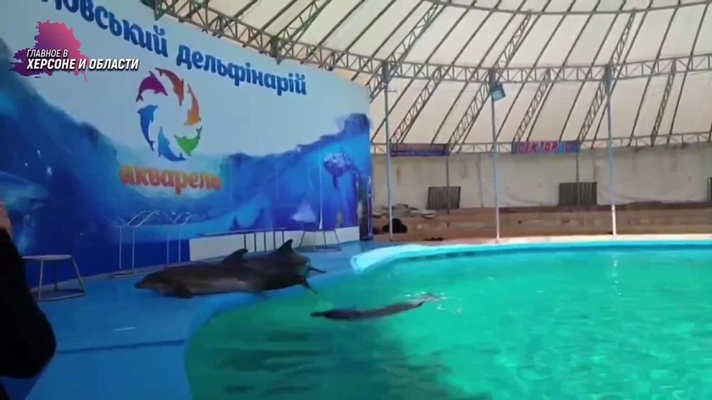 ���������� ��������������� � �������� ������������ ����-��������� �������� �����������