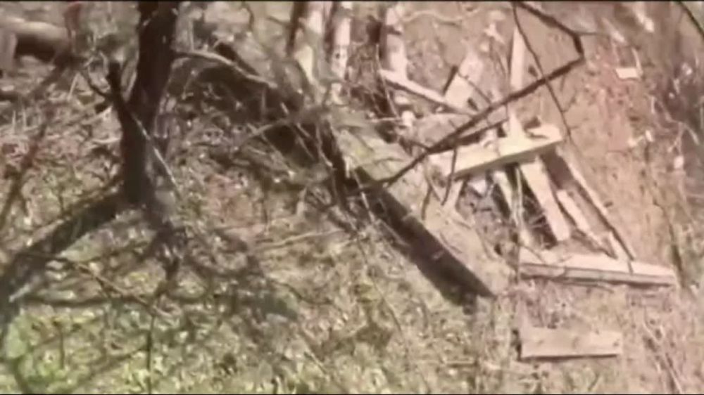 ������� � ������.. ���������� ���� ��������� �� ����������� FPV-�����, ��������� ����� �� ���� ������� �� ������� ����� ���� �� ��������, �� ����� ���� �������, ������� ����� ��������� �... ������� ���