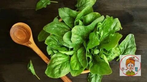 ������ ������������ �������� ���� � ����