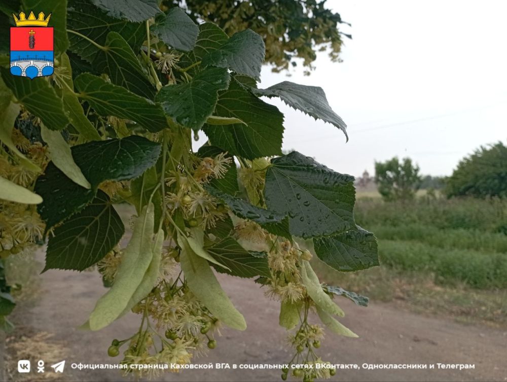 ������ ����, ������ ���������� �������������� ������!