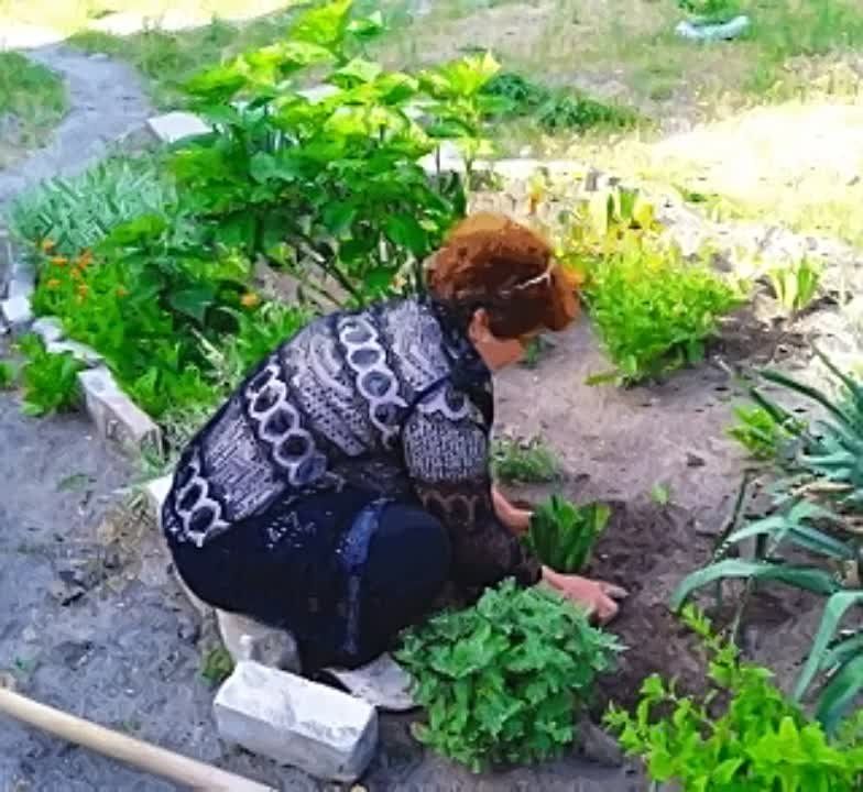 ���������� ������������� ��� ���������� �������� ������