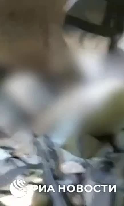 ����� �� �������� � ������� (���������� �������), ���������� ������ ���������� �������, ��������� � ������������ ��� �������