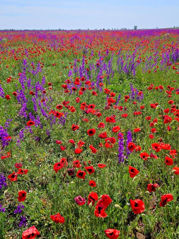 � ������ �����, �����������!