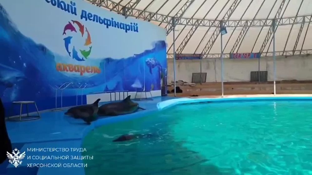 ���������� ������������ ����-��������� �������� �����������