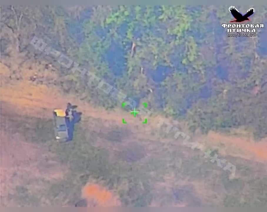 ������ ���������� �� �������� ���