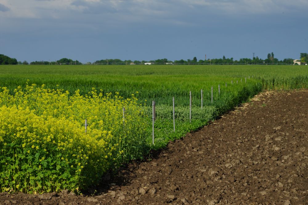 ���������������� �������� ���������� ������� ���������������� ���� ���������� �� �������� ����� �����