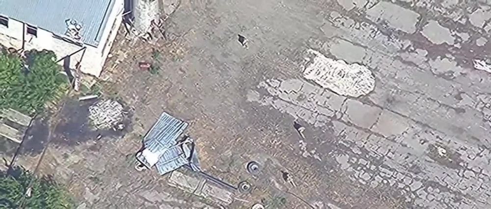 ����������� � ����������� ������������ ���������� ���� ��� � ���������� �������