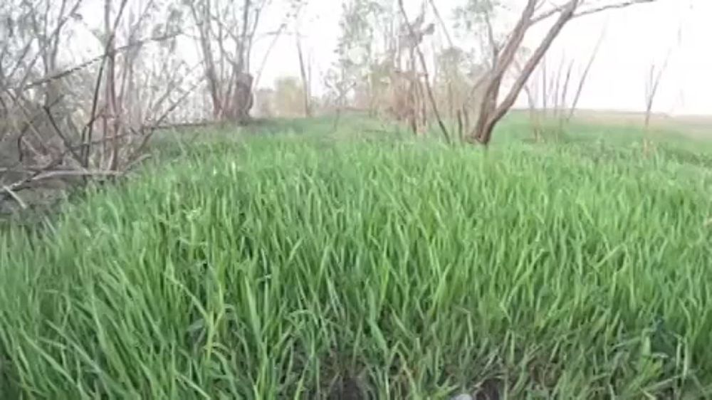 "��**���� �� ��� ��������, �� �� �� �������": ��������� ������������� ����������� "�����" �������� ���������� �� �������������