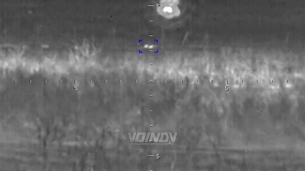 ������ ���� ���������� ������ ���, ������� ����������� �������� �������