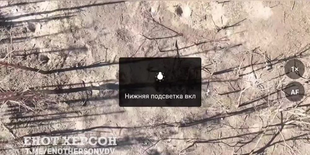 ��������� ���� �������� ���� �� �������� ����������� �����������