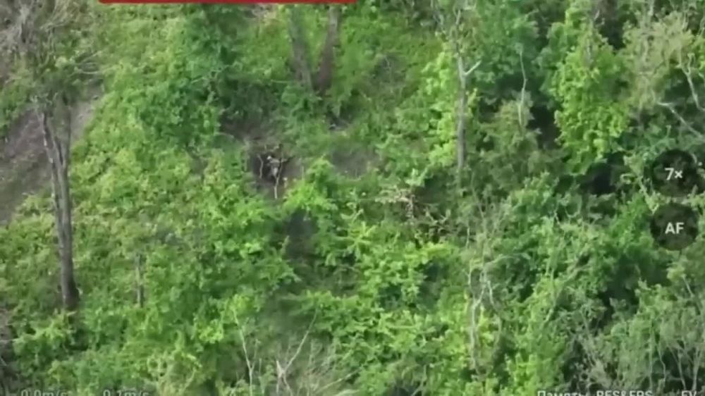 ���������� �������������� ����� �� ��������� � ����