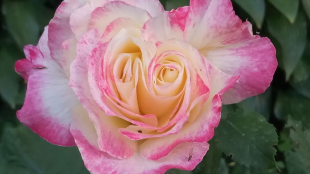 ��� �������� �������! ����������, ��� ��������� ������ � �������