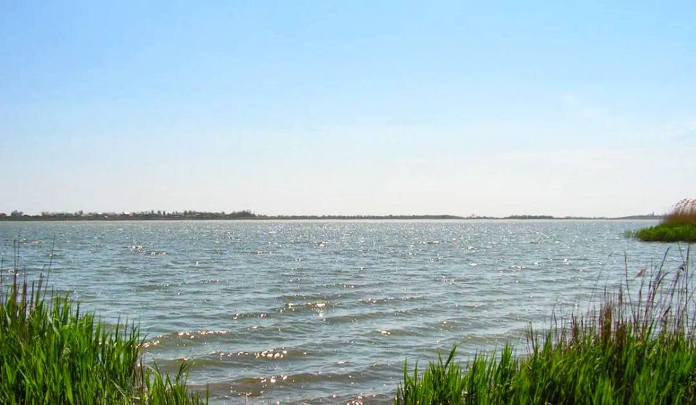 ����� ����������: ������ ����, ������!. ����������� � ���� ������������� ����������� ������ � �� ������ ���������� ���� #������������������