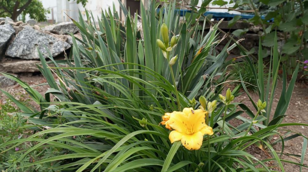 � ������ �����, �����������!