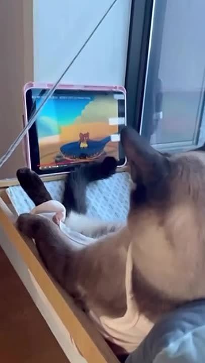 ���, ��� ������, ������� �������� ��� ����� ������