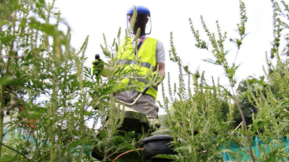 � ���������� � ����������� �������� ����������� ����� 90 ����������� ��� ��-�� ��������