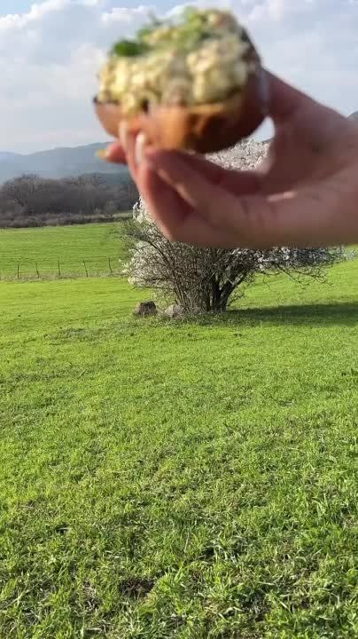 ���� ����. ���� ��������