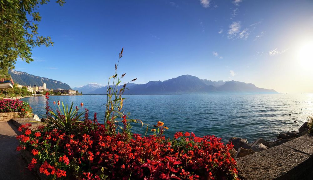 Сенатор Кастюкевич: швейцарский саммит по Украине созывают для ультиматума