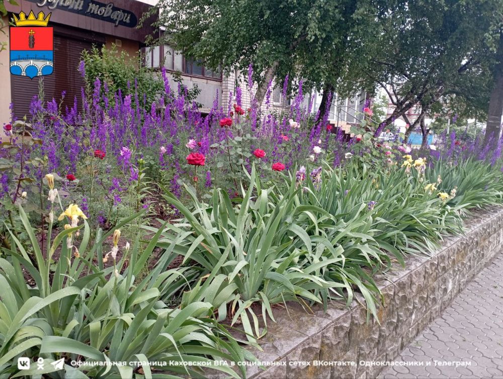 ������ ����, ������ ���������� �������������� ������!