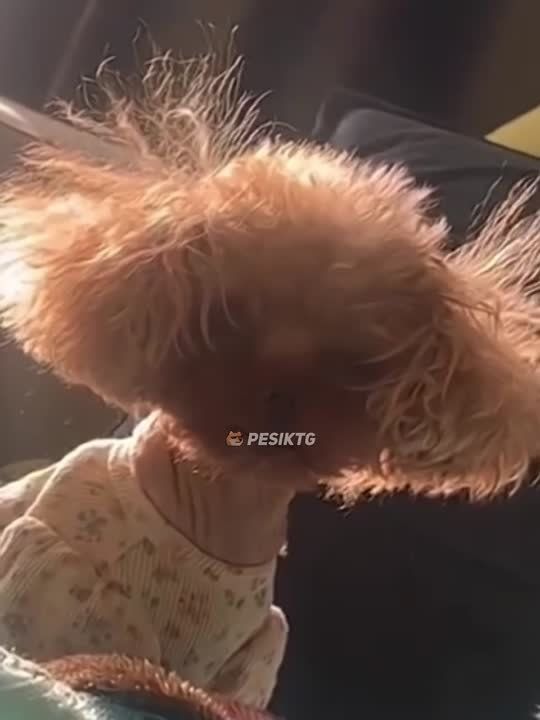 ����� ����� �� 10 �����, � ��������� ������ 2 ����