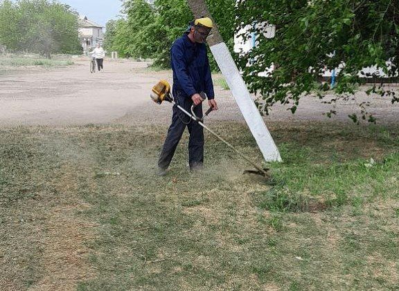 ��������� ������ ���� �������