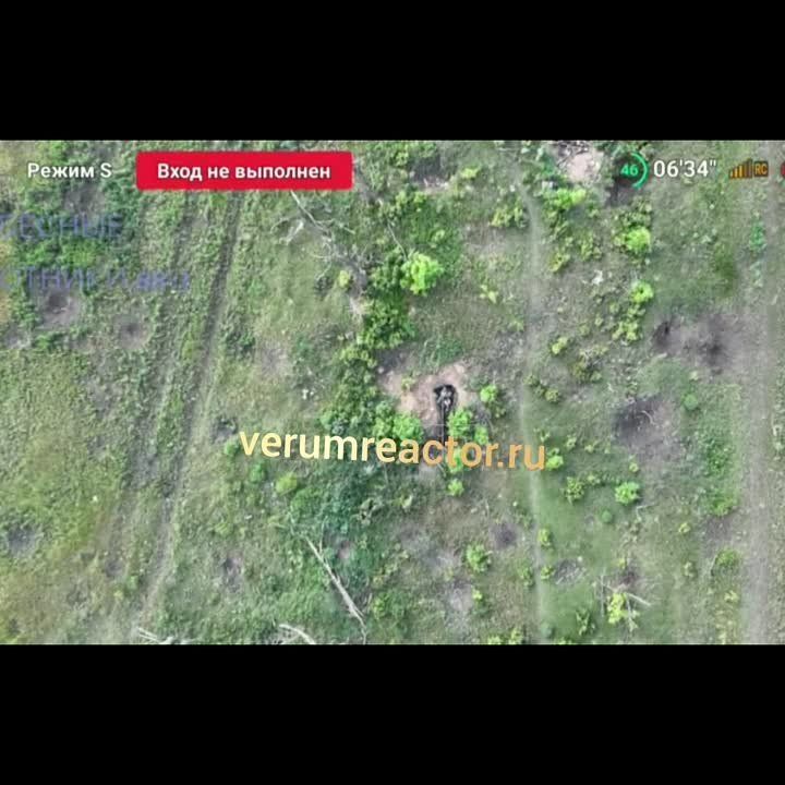 ��� �����... ��� �����. ��������-����� ���������� �������