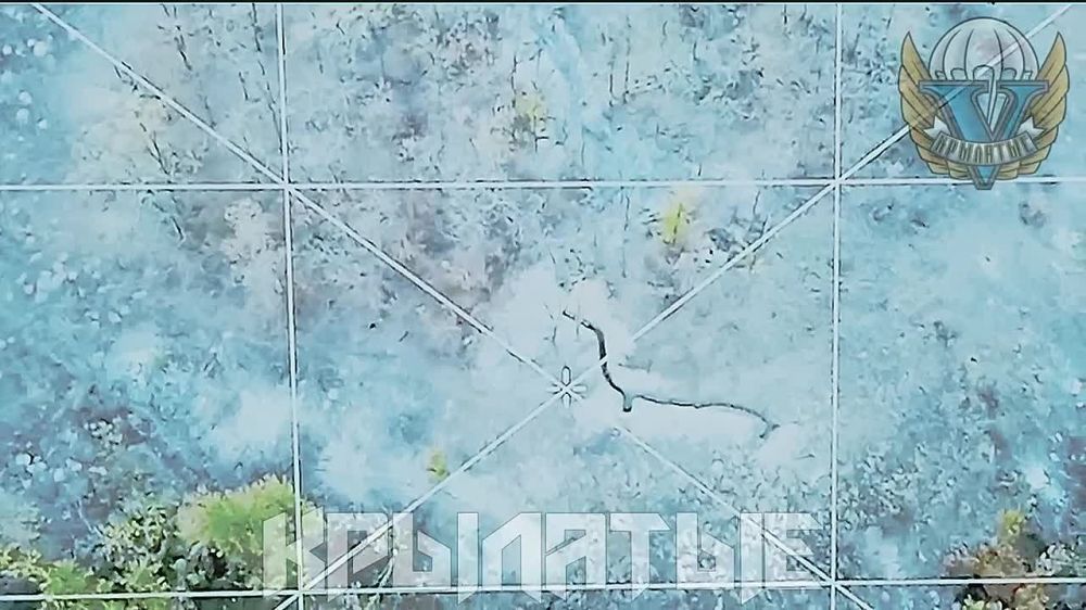 ���������� �����������. ����� �� �� ���������� ��������� � ����� � ������� � ������. ��������� ��, �� �����-�� ���������� ��������, ��� ����� � ����