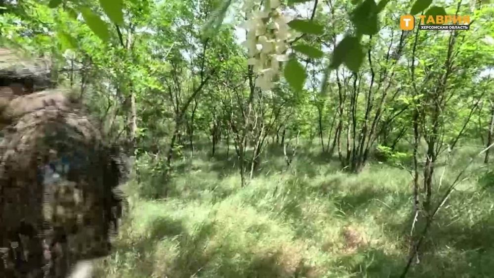 ������� ���� ������� ������ ��������� ����� ������� � ���������� ����� ���������� ���� ���������� �� ������ ������ ������