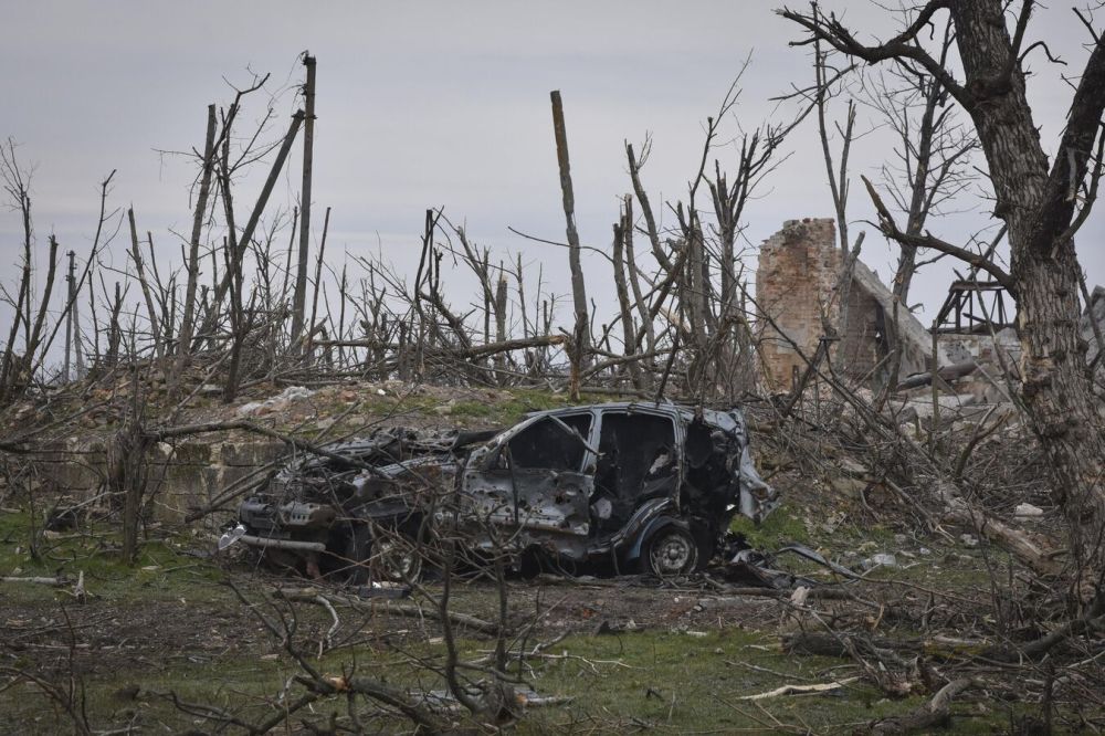 �����: ���, �������� �� ��������, �������� ���� ����� ������ � �����