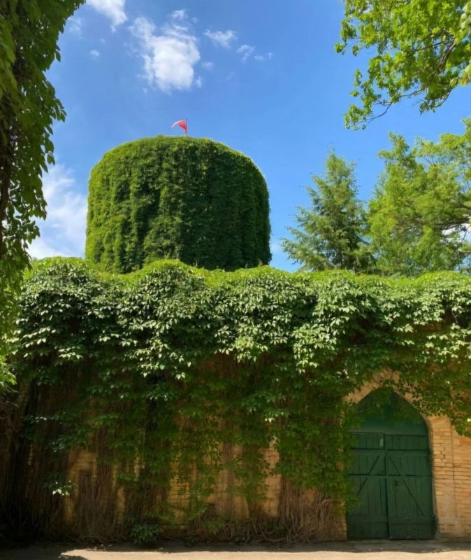 �������� ��������������� ����� �������� �������-����