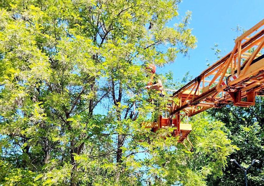 �������������һ �������� � ���������� �������