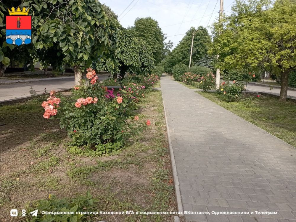 ������ ����, ������ ���������� �������������� ������!