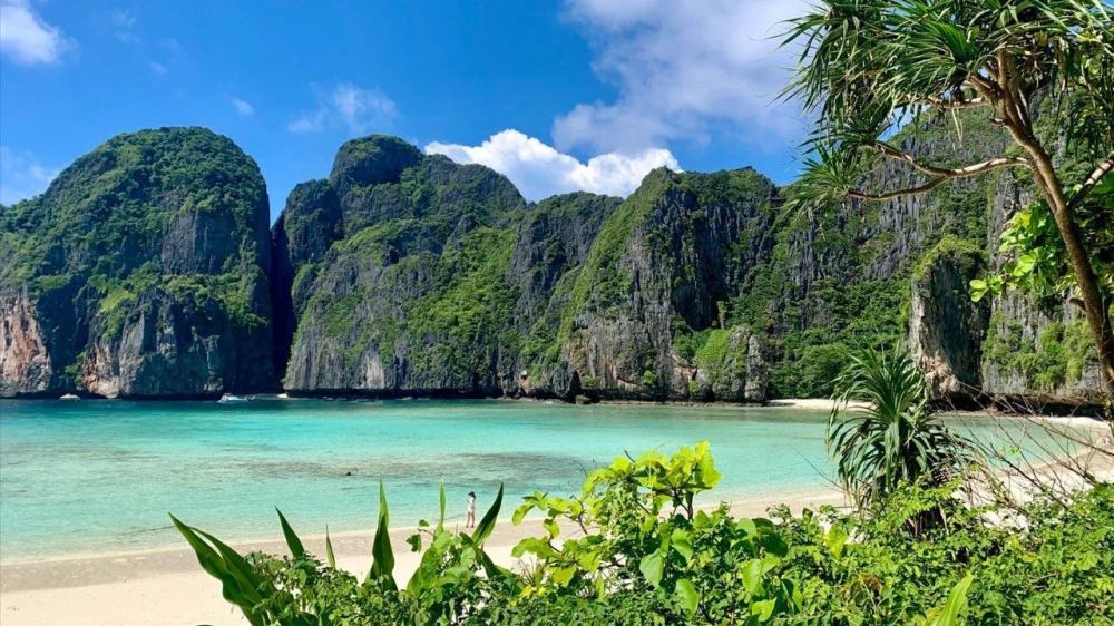 ����� ���� �������� � ��������