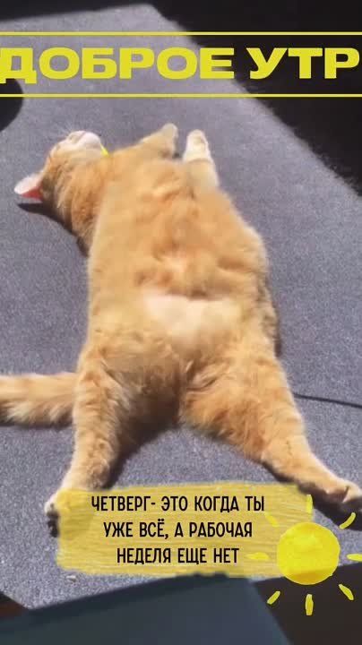 #������������