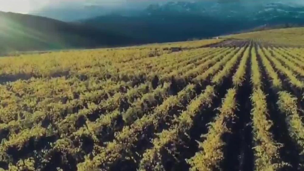 ������������� � �����. ����������� ������� ��