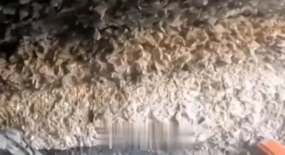 ����� ������ ������� ��� �� ������� ���� � ������ �.�