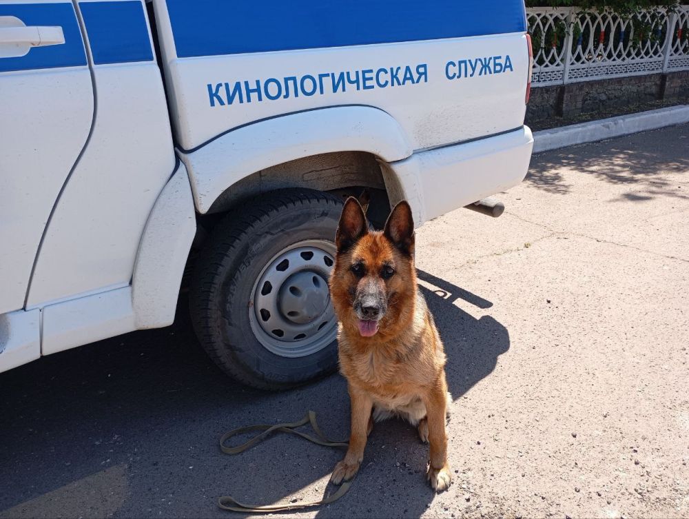 ������������ ������� �����