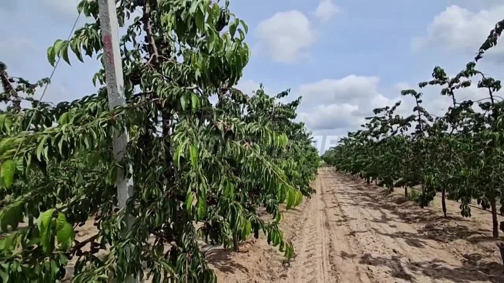 ������� � ������� �������������� ������� ��� ��������� �� �������� ���������