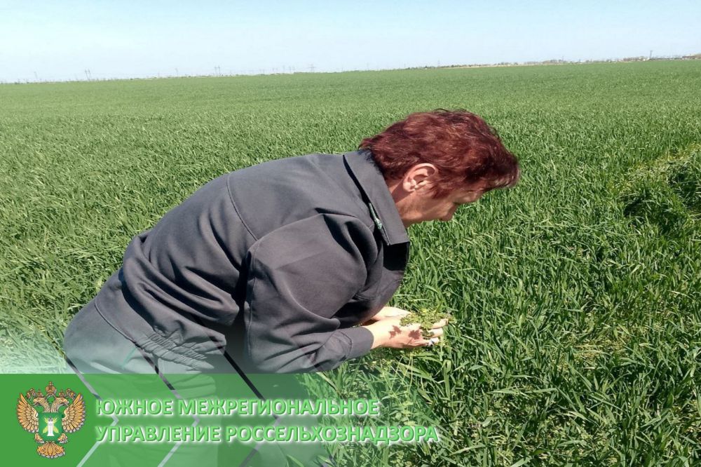 � ���������� ������� ���������� � ��������������� ����������� ����������