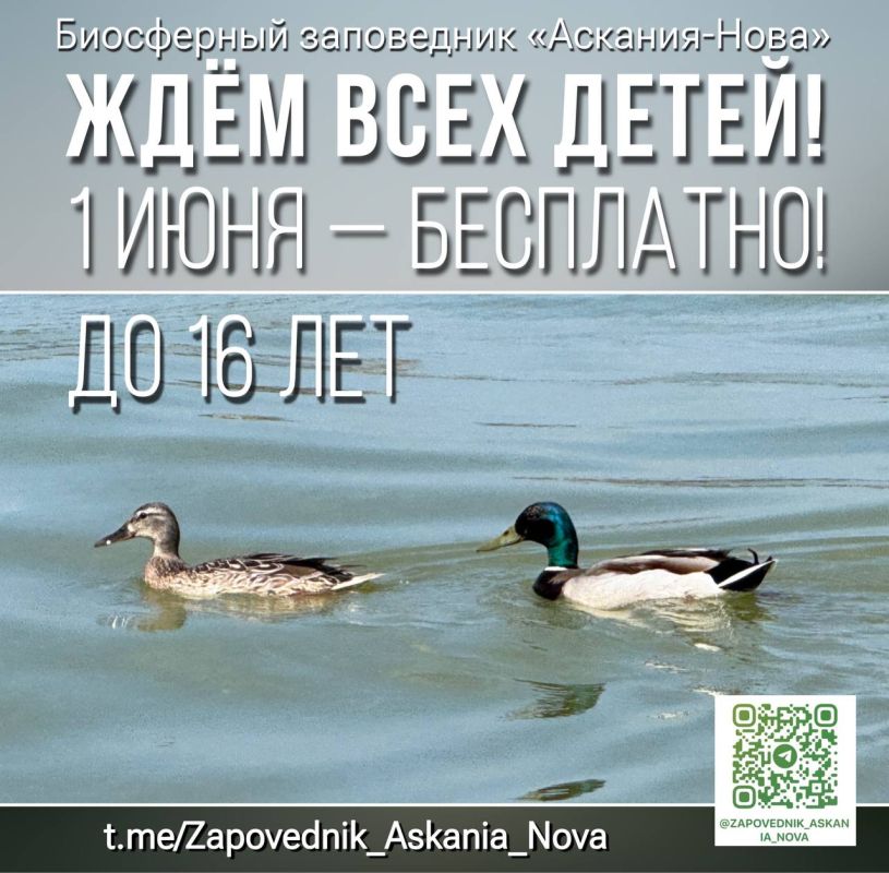 ���������� ���� ��� ����� � ������� ��������-���� 1 ����