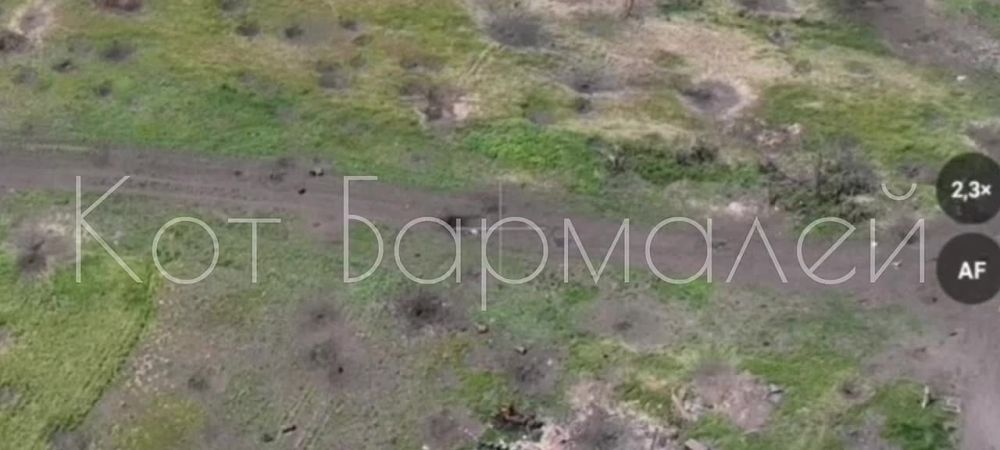 ��������� ������ �����������