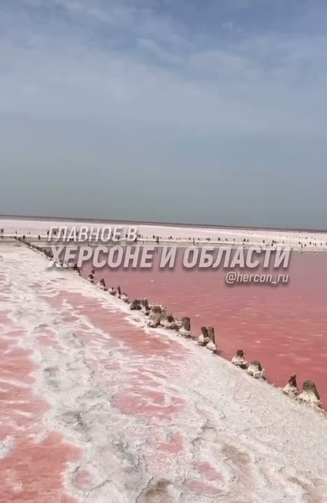 ������� ����� � �������������� ������� ����������