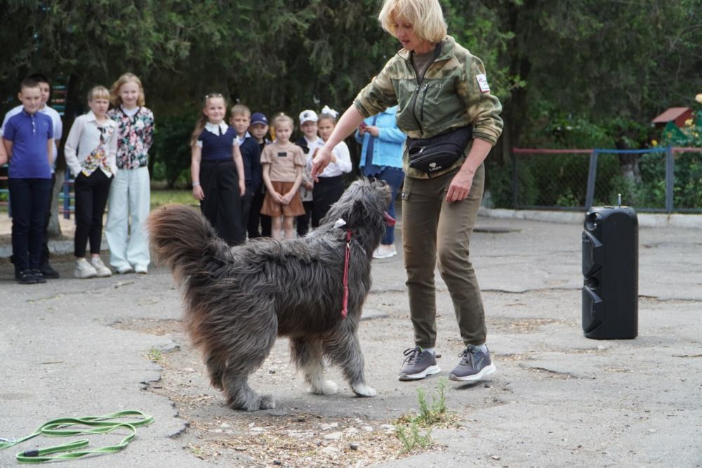 ���-��� � ��� ������������� �����-��������� ���������