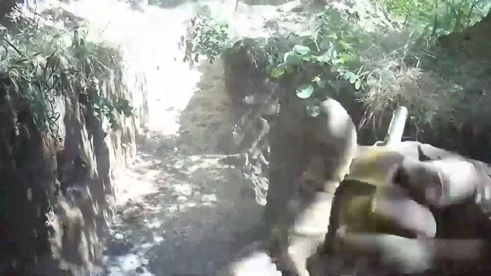 ����� ������� ���� � ������ �����: ������������� ���������� ������ � ������