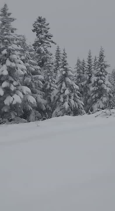 ���������� ������ �������� ���������� ����