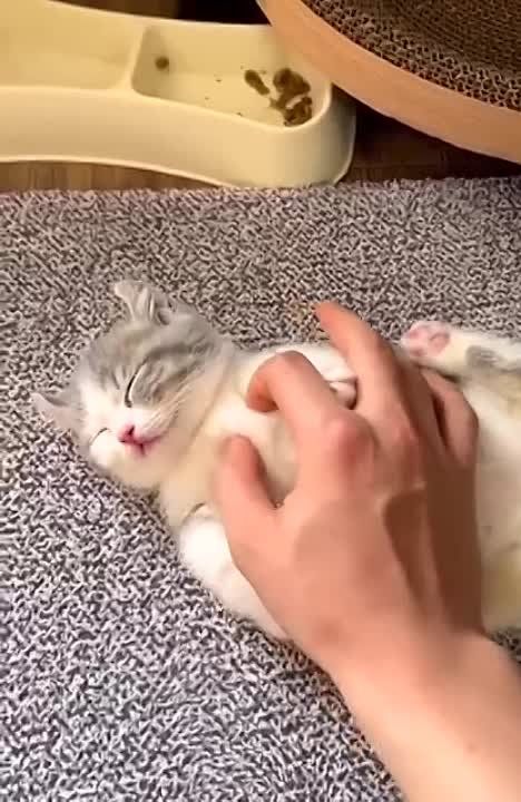 ��� �������, ���� �������, ��� ������, ��� ���-�� ���, �� �������