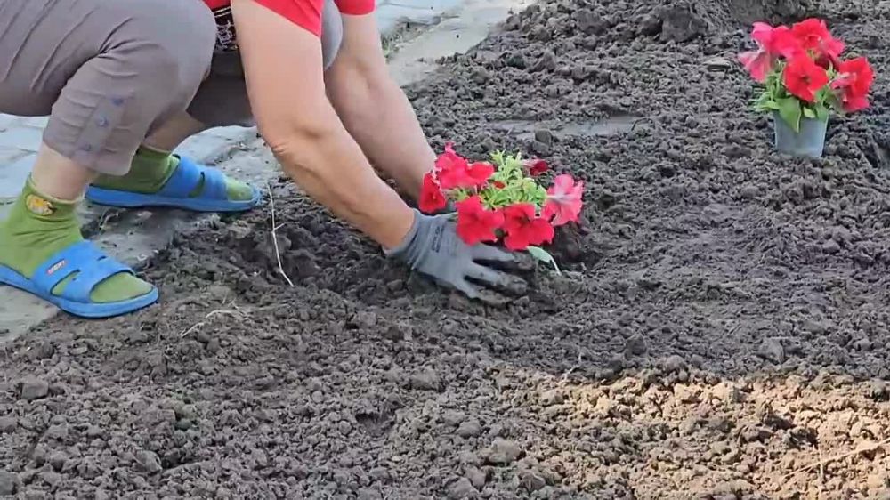 ����������� ������� ��������� ������������ � ��������� ������ ��� ����